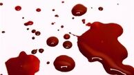 بازداشت ۸ متهم در پرونده درگیری منجر به قتل در پارک دانشجو
