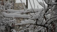 فیلم:: تعرض چندین پسر به دو دختر در ائل‌گلی تبریز