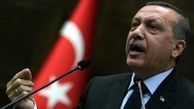 اردوغان: صبر دولت حد و اندازه‌ای دارد