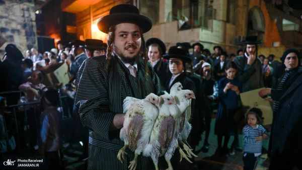 ذبح مرغ در مراسم مذهبی یهودیان + عکس