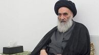 درخواست آیت‌الله سیستانی از سازمان ملل