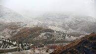 ماجراي يك زمين خواري و كوه زدايي در دوران سازندگي/ زمين‌بازي از زعفرانيه تا چمپورك