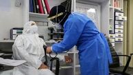 افراد بالای 65 سال بعد از 6 ماه دوز سوم کرونا را بزنند