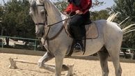 اسب سواری شراره رخام + عکس