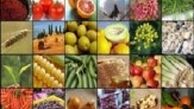 جزییات تازه درباره خسارات وارده به باغات مرکبات 