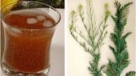 دیگه چی بگم ازخواص این شربت!