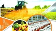 کاهش تولید محصولات غذایی کشور از 14 میلیون تن به 10 میلیون