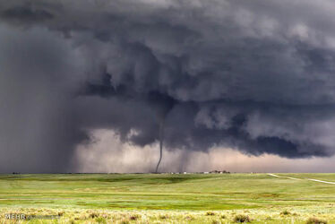 1777539_1814fd20-3468-11e5-b52a-5b6af049604f_10_CATERS_BIG_TORNADO_DAY_14