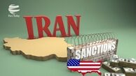 خرگوش هایی که با صدای تفنگ از خواب میپرن