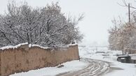 برف و کولاک در 5 استان کشور/ رهاسازی 43 خودرو گرفتار در برف