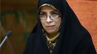 امین زاده:قرار نیست در اثر ناآگاهی مردم، وکلا ارتزاق کنند