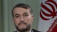 امیرعبداللهیان:تعیین سرنوشت شیخ زکزاکی برای ایران مهم است