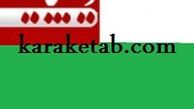 بازتاب وقایع تاریخ معاصر ایران ،مکمل دیپلماسی رسمی کشور