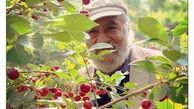 حشمت خان فردوس در باغ گیلاس + عکس