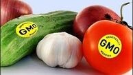 الزامات جدید سازمان غذا و دارو درباره غذاهای تراریخته