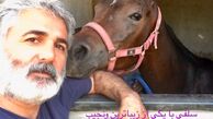 اسب زیبای مهدی صبایی + عکی