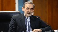 ولایتی کرونا را شکست داد