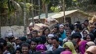  اخراج مسلمانان روهینگیا از هند
 