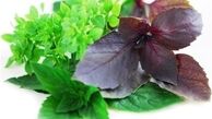 تقویت کننده‌های معده از دیدگاه طب سنتی