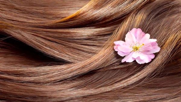 گنجینه ای برای سلامتی و زیبایی مو