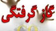 مادر و فرزند جیرفتی بر اثر گاز گرفتگی جان باختند