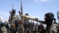 بوکوحرام ۷ نفر را در کامرون به قتل رساند