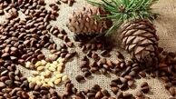 دانه کاج یا چلغوز چه خواصی دارد؟