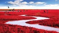 مناظر دیدنی در کره زمین/ گزارش تصویری