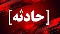 آتش سوزی ۱۰ خودرو در بهشت زهرا (س) + جزئیات