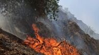 آتش سوزی جنگل های "دیل" گچساران همچنان ادامه دارد
