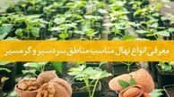 خرید نهال چه نژادی در مناطق گرمسیر و سردسیر مناسب می باشد