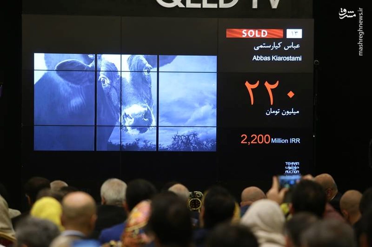 حراج «گاو گریان» +عکس
