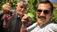 کوروش سلیمانی در باغ انگور + عکس