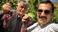 کوروش سلیمانی در باغ انگور + عکس