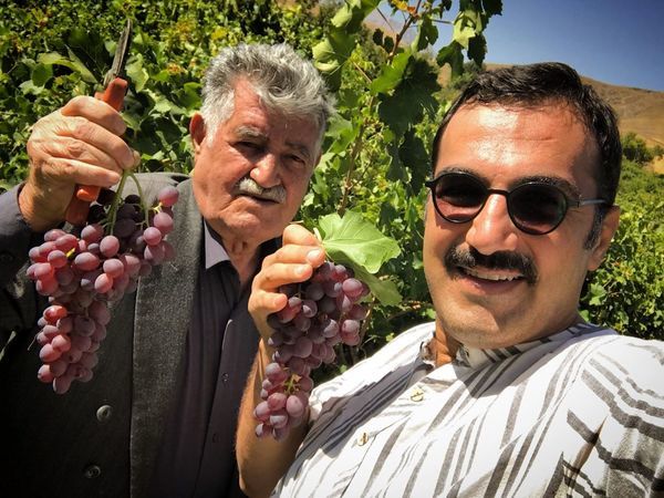 کوروش سلیمانی در باغ انگور + عکس