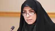 امین‌زاده: امنیت زوار ایرانی مهمترین موضوع برای ماست 
