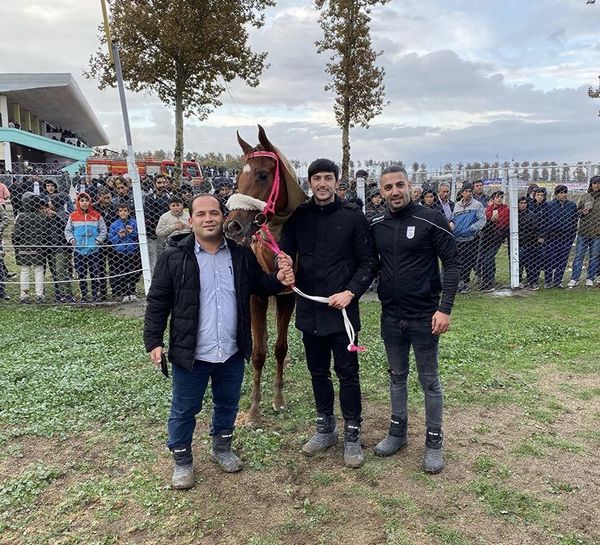 اسب مسابقه ای سردار آزمون + عکس