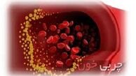 نکاتی که باید در مورد داروهای ضد چربی خون بدانید 
