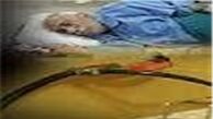  جایزه کشنده‌ترین مسمومیت میرسد به کدام ماده غذایی؟! 