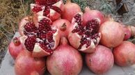 خوردن انار پس از "حجامت" خون را تصفیه می‌کند