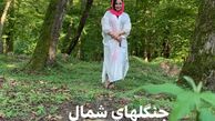 پروژه جنگلی‌ بهنوش بختیاری + عکس