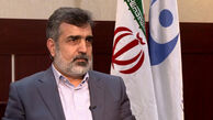 توضیحات کمالوندی پیرامون اندازه‌گیری 300 کیلو مواد هسته‌ای و فایبر کربن