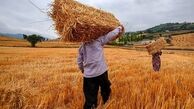 حاجی میرزایی: 70 درصد کشاورزان کم سواد یا بی‌سوادند