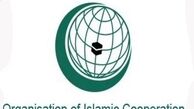 اتحادیه بین‌المجالس شانه به شانه سازمان ملل، بدون حق وتو
