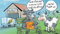 کاریکاتور سَر سودجویان در آخور دام‌ها!