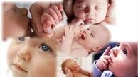افزایش ۳ درصدی آمار ولادت در سال جاری