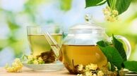 کسب روزی حلال با عطر بهار نارنج و محصولات ارگانیک از بابل به تهران

