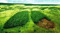 افزایش آگاهی برای رفع مشکلات محیط زیست