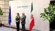 مذاکرات ایران و ۱+۵ در وین/عکس