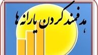 تکالیف دولت برای ایجاد شفافیت در اجرای هدفمندسازی یارانه‌ها تعیین شد